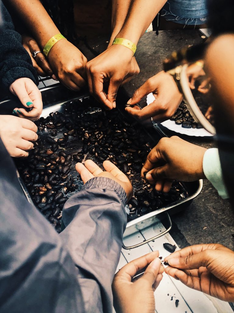 Several hands in a tray of cacao beans