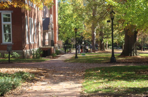 Campus walkway in fall- a tour group stands in distance