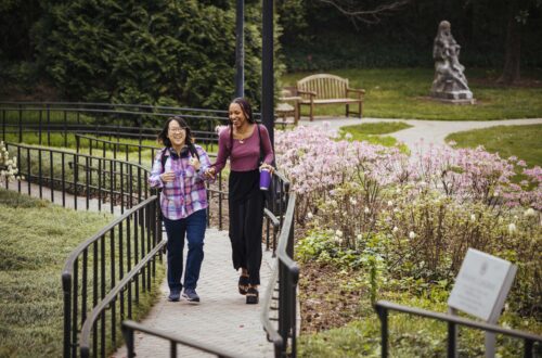 Two students walk and talk up a pathway surrounded by spring flowers.