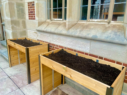 Two raised plant beds stand beside the library.
