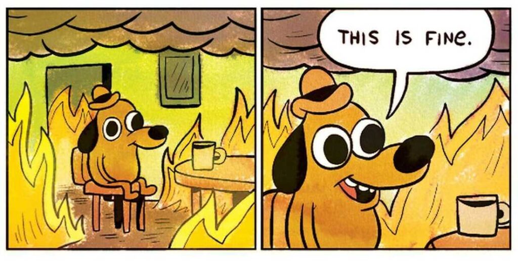 Two panel meme; the first panel features an orange animated dog wearing a hat sitting in a room on fire at a table. The second panel is the same, but the dog is saying "This is fine."